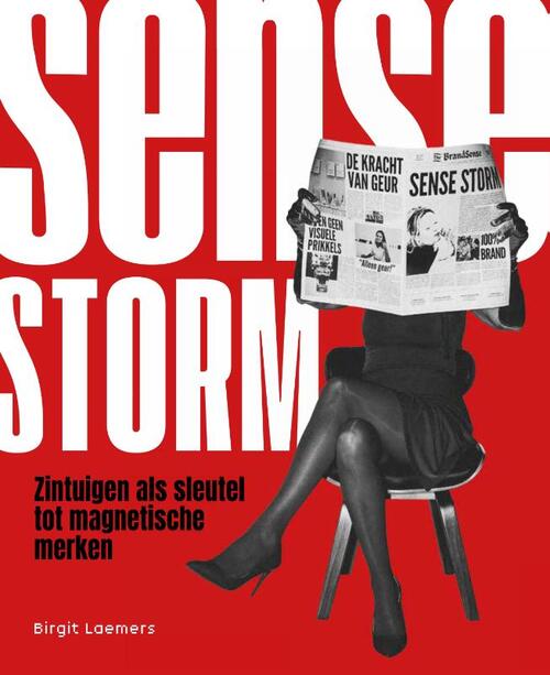 Boekomslag Sense Storm van Birgit Laemers